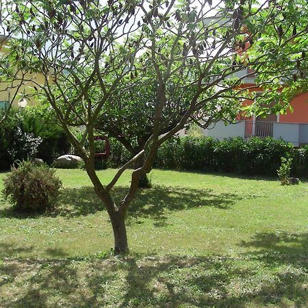 Pier Delle Vigne B&B بينيتو المظهر الخارجي الصورة