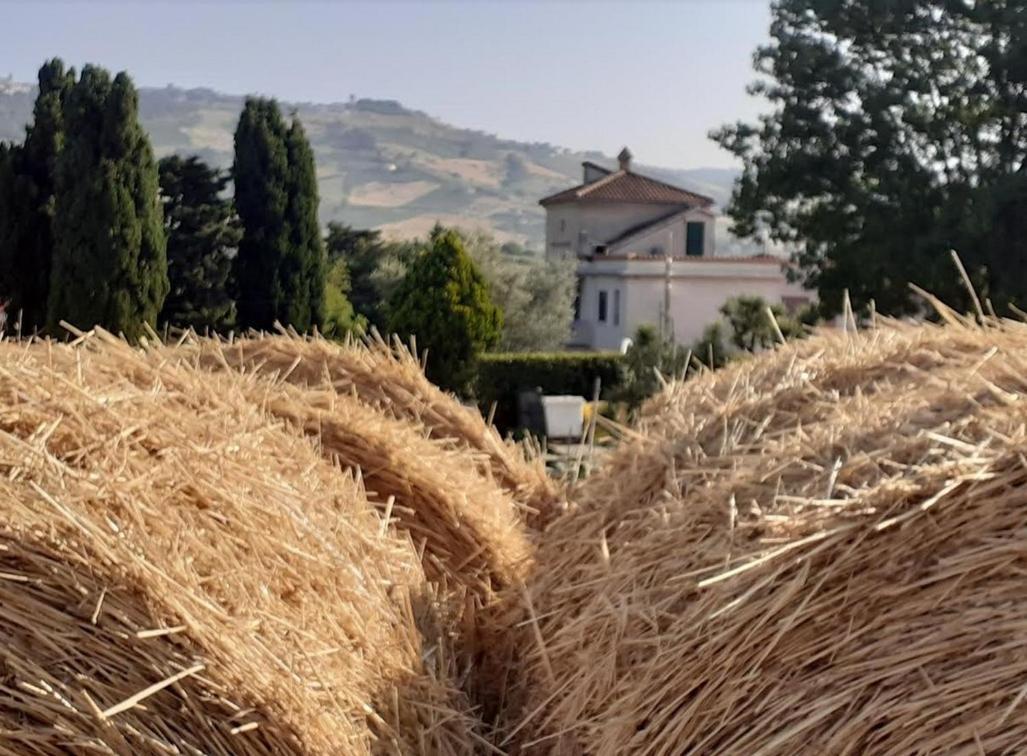 Pier Delle Vigne B&B بينيتو المظهر الخارجي الصورة