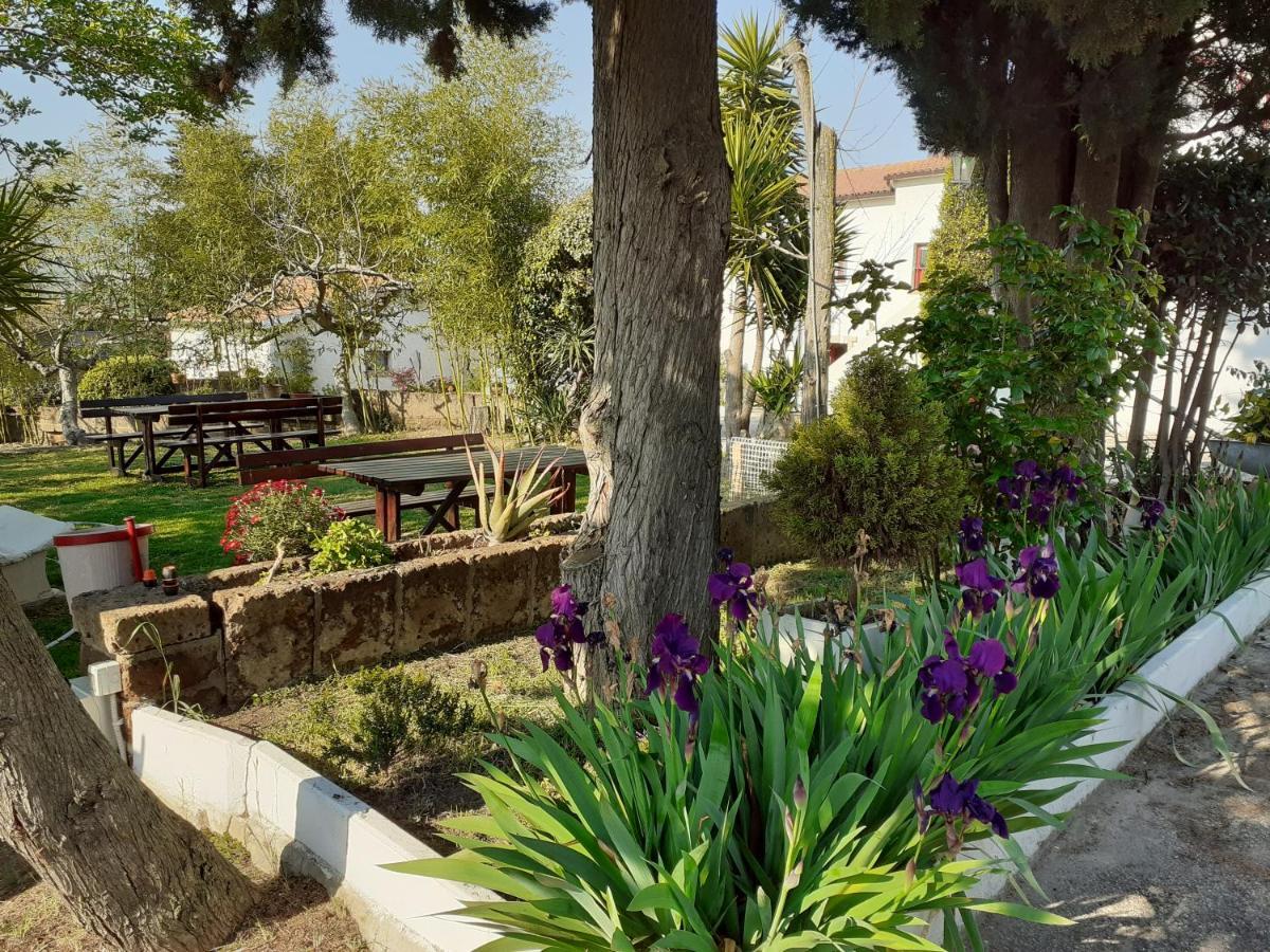 Pier Delle Vigne B&B بينيتو المظهر الخارجي الصورة