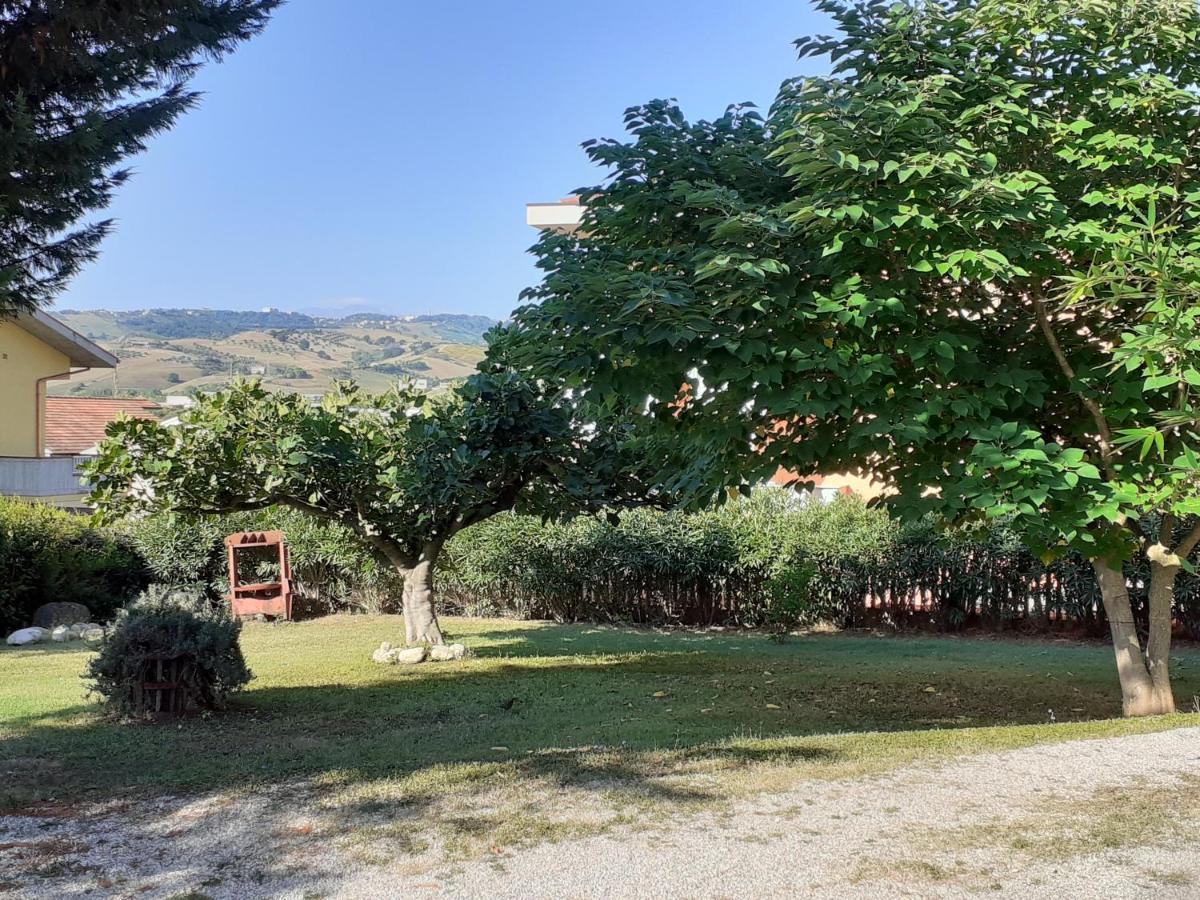 Pier Delle Vigne B&B بينيتو المظهر الخارجي الصورة