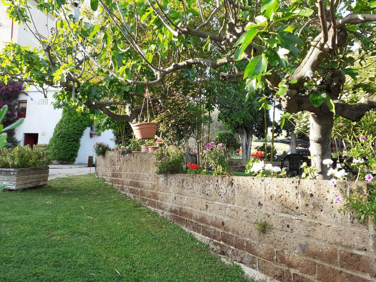 Pier Delle Vigne B&B بينيتو المظهر الخارجي الصورة