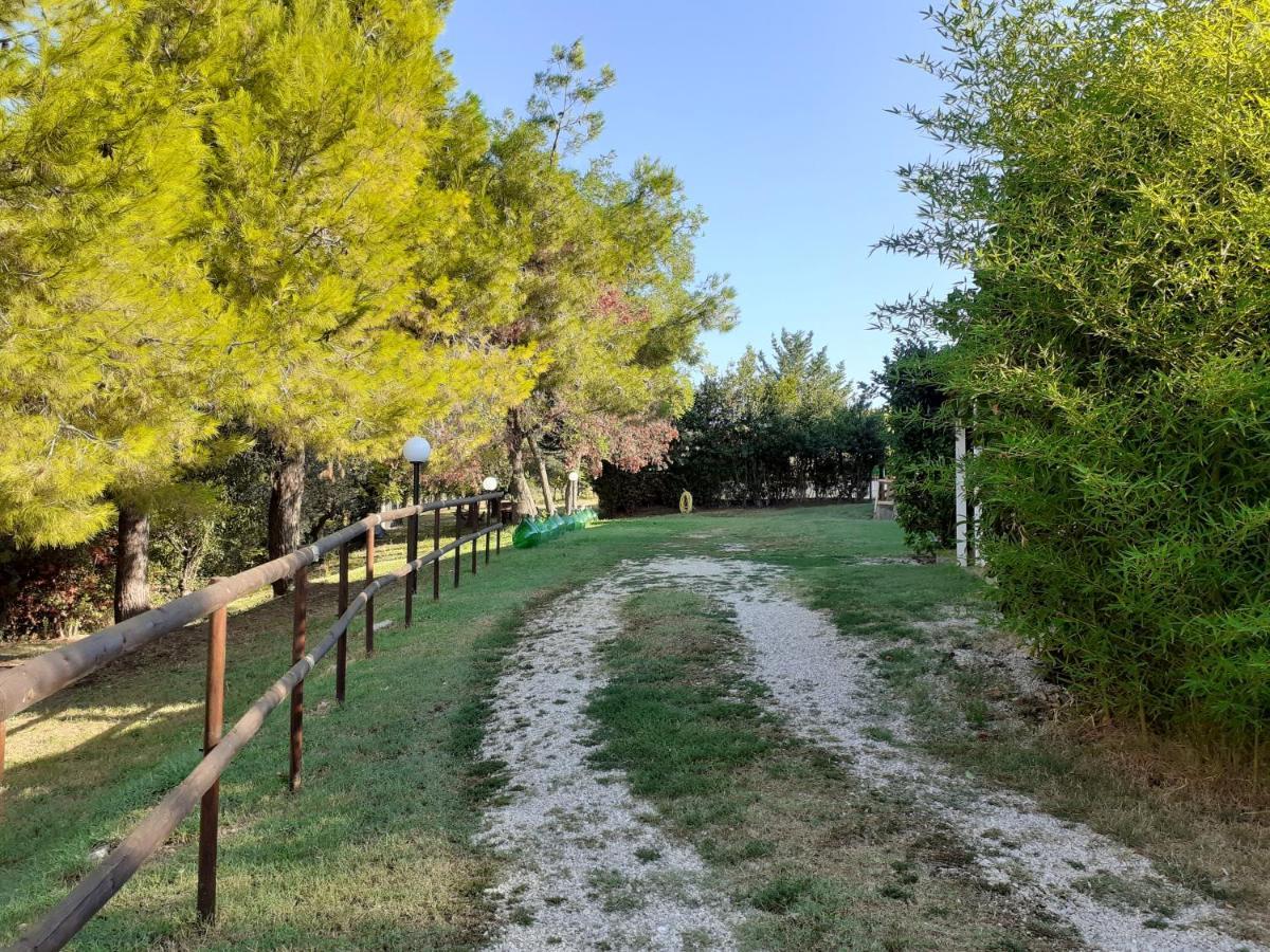 Pier Delle Vigne B&B بينيتو المظهر الخارجي الصورة